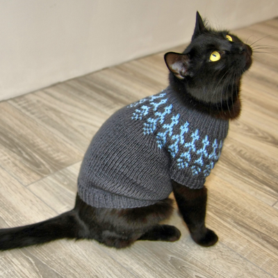 cat clothes, cat sweater, sphynx clothes, sphynx sweater, wa - Inspire  Uplift