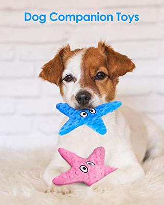 HGB Squeaky No Stuffing Dog Toys, 2 Pack Starfish Crinkle Plush