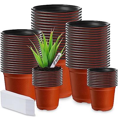 YNNICO 6 inch Plant Pots, 5 Pack Flower Pots Outdoor Indoor, Planters with  Drainage Hole and Tray Saucer