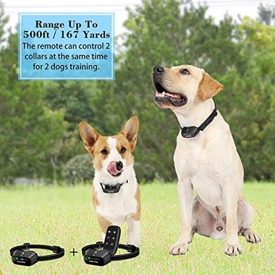  Citronella Bark Collar Waterproof IPX67, Spray Bark