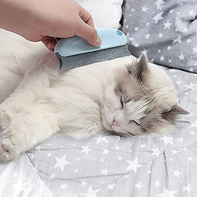  Pet Hair Remover Reusable Cat and Dog Hair Remover  Multi-Surface Lint Roller Portable Fur Removal Tool for  Furniture,Couch,Carpet,Bedding,Clothes and Car Seats, Non-Slip Handle  Self-Cleaning Roller : Pet Supplies