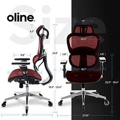 Nouhaus Ergo3D Ergonomic Office Chair - Rolling Desk Chair with 3D  Adjustable Armrest, 3D Lumbar Support and Blade Wheels - Mesh Computer  Chair