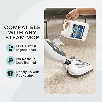 Steam and Go Steam Mop Floor Steamer with Handheld Steam Cleaner