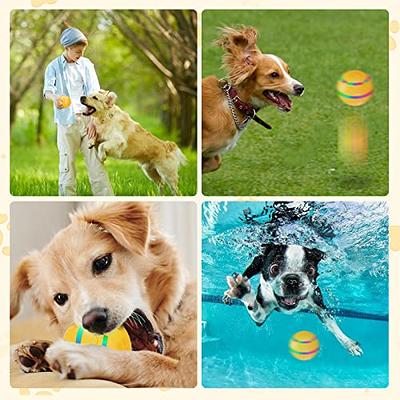 Smart Interactive Dog Toys Ball with Remote Control LED Lights
