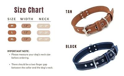 Extra Large Dog Collar