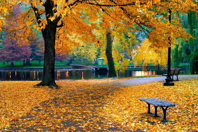جمال فصل الخريف حول العالم Beautiful-autumn+%252822%2529