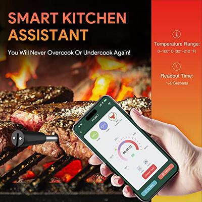 CHEF iQ Smart Wireless Meat Thermometer with 2 Ultra-Thin Probes, Unlimited  Range Bluetooth Meat Thermometer, Digital Food Thermometer for Remote