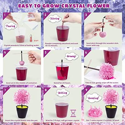  Crystal Growing Kit for Kids, PIBEX 6 Color 12 Crystals  Chemical Science Experiment for Age 8-12, Grow Fast in 24H, DIY STEM  Project Educational Craft Set, Family Toy Gift for Boys
