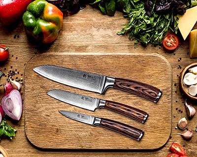 Wakoli EDIB 6-pcs Damascus Knife Set I Professional Kitchen Knives made of  Japanese Damascus Steel VG10 Chef Knife Set with Pakka Wood Handle in Gift