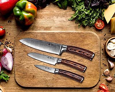  Ruksifg Damascus Tiny Knife Set Mini Knife Set for