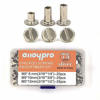 Chicago Screws Book Screws 5 Mm Chicago Binding Screws Kits 5 Sizes Nail  Rivet With Plastic Box Screw Rivets For Belt Bookbinding Leather Decoration  C