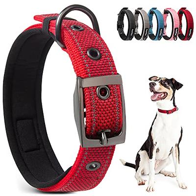 Sublime Adjustable Dog Collar, Red Blue Graffiti With Red Stars 1L