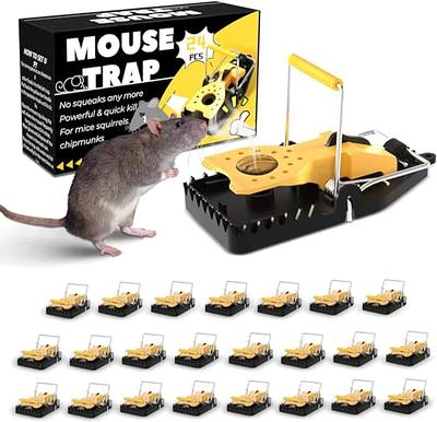 Mouse Trap Rat Trap Mouse Traps Indoor For Home Vip Home - Temu