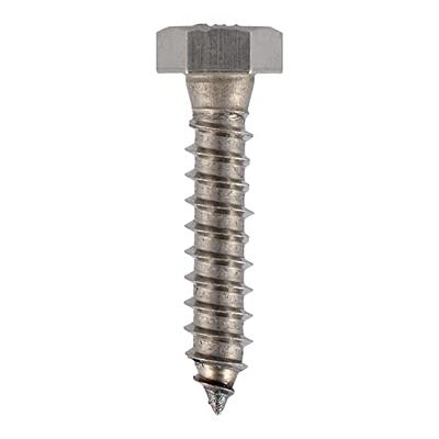 Black Stainless 4 x 3/8 Hex Head Lag Screw, Box 100