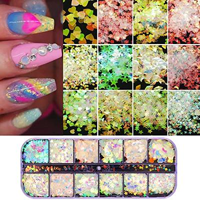 Holographic Glitter for Nails 6 Colors Nail Glitters for Acrylic Nails Nail  Sequins Nail Glitter Powder for Nail Designs Flakes Fine Glitter Acrylic