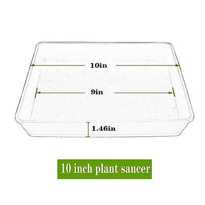 LWALRS Square Plant Saucer 10 Inch 5 Pack, Plastic Plant Water Dray Tray  Plants, Pot Saucers for Plants Square Planters for Indoors and Outdoors  Plants, Garden Saucer for Plant Pots. - Yahoo Shopping