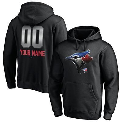 Toronto Raptors Fashion Preferred Logo Hoodie - Mens