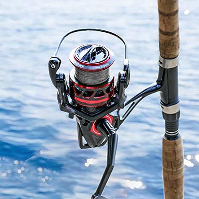  3000 Spinning Reel - 9+1 BB Smooth Powerful Fishing