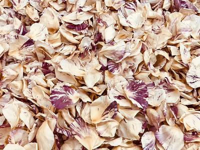 Vintage Twist Rose Petals. 100 Cups. Real Wedding Petals Craft Supplies. Dried  Flower Confetti. Decoration Usa - Yahoo Shopping