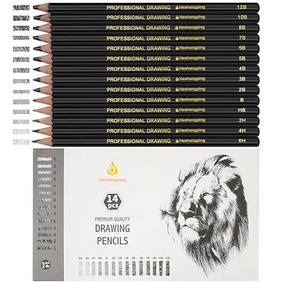 MARTCOLOR Drawing Sketching Pencils Set, 12 Pack Graphite Pencils(14B -  2H), Ideal for Drawing Art, Sketching, Shading, Artist Pencils for  Beginners & Pro Artists - Yahoo Shopping