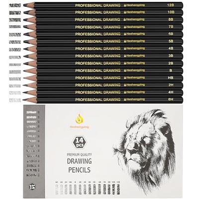 YUANCHENG Professional Drawing Sketching Pencil Set - 12  Pieces,Graphite,(14B - 2H), Graphite Pencils for Drawing, Shading Pencils  for Sketching, Art Pencils for Drawing and Shading - Yahoo Shopping