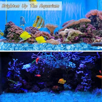 aoozleny Fish Tank Rocks Glow Multi-Colored Glow in The Dark Pebbles for  Fish Tank Aquarium Garden Plant Pots Bonsai Walkway (100 Pcs) (Blue) -  Yahoo Shopping