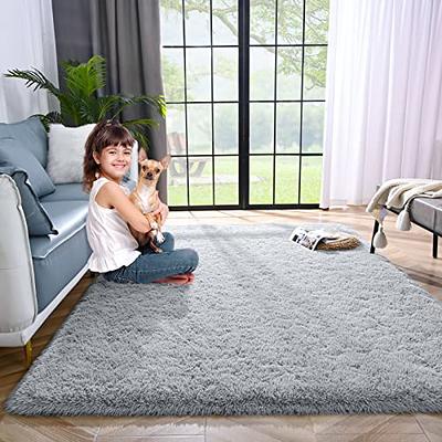 Ultra Soft Fluffy Area Rugs, 4x5.3 Feet, Gray