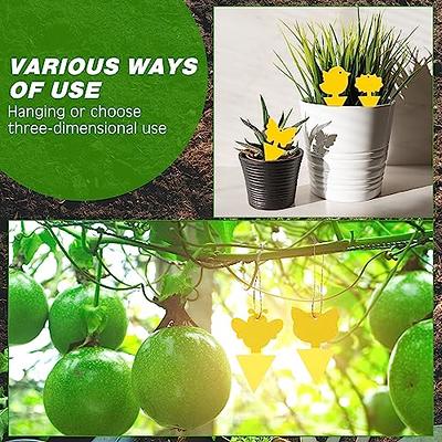 Fruit Fly Traps Fungus Gnat Traps Yellow Sticky Bug Traps 36 Pack Non-Toxic  and Odorless for Indoor Outdoor Use Protect The Plant