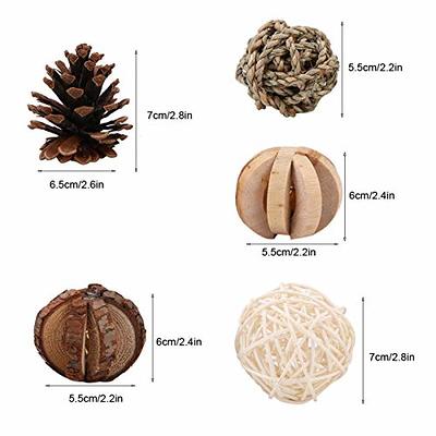 Treat Dispensing Dog Toy - Pine Cones