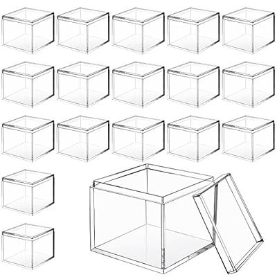 Premium Yet Affordable Leelosp 28 Pieces Mixed Sizes Small Storage  Containers Rectangular Plastic Organizer Box Clear Bins Lids Empty Crayon  Boxes Case Hinged for Item Organizing - Yahoo Shopping, clear bins with
