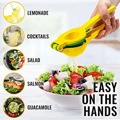 HEVOL Mandoline Slicer for Kitchen, 5 in 1 Adjustable Mandoline Food Slicer  with Extra Brush & Cut-Resistant Gloves, Stainless Steel Vegetable Slicer