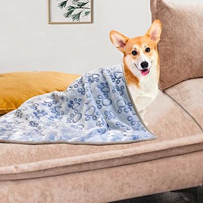 Dono 1 Pack 3 Dog Blankets, Soft Fluffy Fleece Pet Blanket Warm Sleep Mat Paw Print Design Puppy Kitten Throw Blanket Doggy Mat, Blanket for Dogs