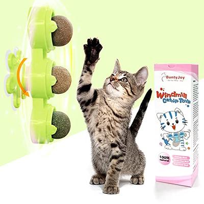 Wmicaldom 3-in-1 Interactive cat Toys Puzzle Leakage Food Device