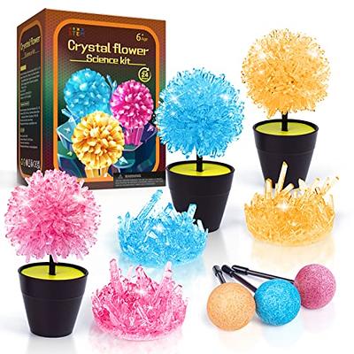 Crystal Growing Kit, STEM Projects Science Kits for Kids Age 8-12, Girls  Toys 8-10 Years Old, Crafts Gift Toys for 6 7 8 9 10 11 12 Years Old Girls  & Boys - Yahoo Shopping