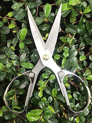 Horsvill Indoor Plant Shears and Garden Scissors, Houseplant Shears Made of  Japan SK5 Stainless Steel, Flowers Herbs and Plant Cutters, Clippers,  Trimmers, Loppers, Bonsai Plant Pruning Scissors - Yahoo Shopping