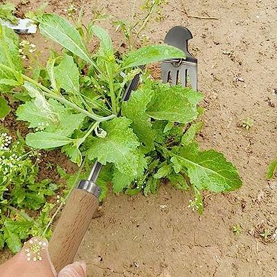 Weeding Artifact Uprooting Weeding Tool, Garden Weeding Tools