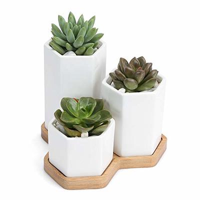 Brajttt Flower Pots,6 Inch Succulent Pots with Drinage,Indoor Round Planter  Pots with Saucer,White Cactus Planters with Hole,Outdoor Graden Pots 4