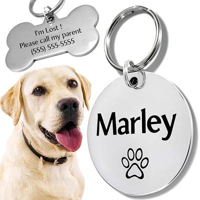 TagWorks BLINGZ Collection Bone Personalized Small Pet ID Tag | PetSmart