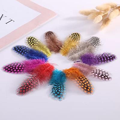 100PCS Craft Colorful Feathers,Assorted Colors Soft Feathers for Jewelry  and Dream Catcher Crafts