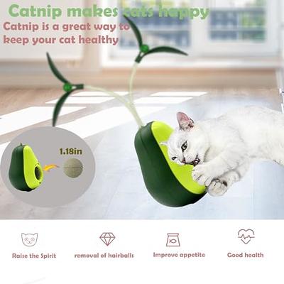 Pet Spring Treat Puzzle Toy Cat Treat Dispenser With Feather Spring Spring Cat  Treat Dispenser Toy Indoor Cat Food Dispensing Puzzle Toy Interactive Cat  Toy Pet Spring Treat Toy 