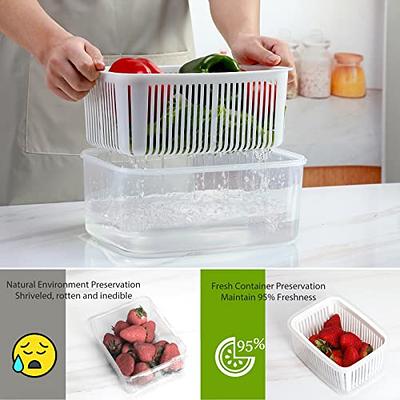 Fresh Produce Vegetable Fruit Storage Containers For Refrigerator - Produce  saver storage containers - Draining Crisper with Strainers 