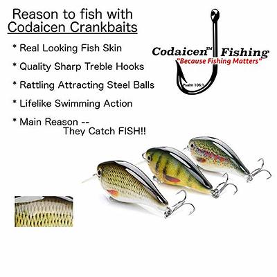 Codaicen 5 Fishing Lures for Bass Northern Pike Walleye - Multi Jointed  Swimbaits - Realistic Slow Sinking Lifelike Bass Lures Freshwater Saltwater