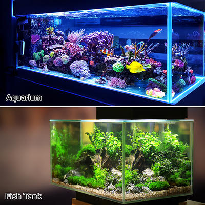 goldfish tank decorations