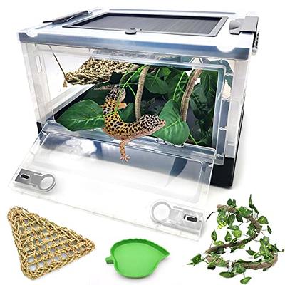 Gecko clearance tank kit