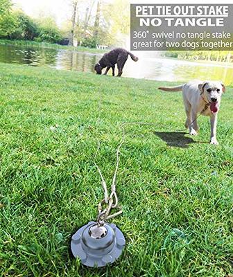 Two dog anti tangle clearance tie out