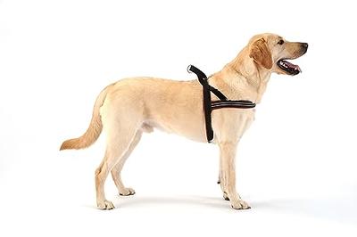  ComfortFlex Sport Harness - American Made No Pull Dog