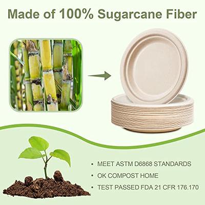 100% Compostable Disposable Paper Plates Bulk [10 50 Pack], Bamboo Plates,  Eco F 