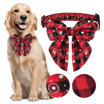 Art Design Soft Dog Collar for Small Medium and Large Dogs and Cute Female  Male Collar Boy Girl Dog Collar (Hawaii Style, M) - Yahoo Shopping