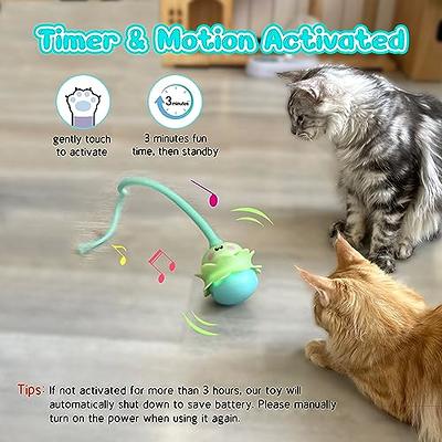 Wmicaldom 3-in-1 Interactive cat Toys Puzzle Leakage Food Device