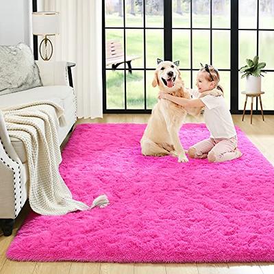 LELINTA Large Fluffy Area Rugs Soft Shaggy Carpet Floor Rugs for Living  Room Bedroom Decor, Child and Girls Shaggy Furry Floor Carpet Nursery Rugs